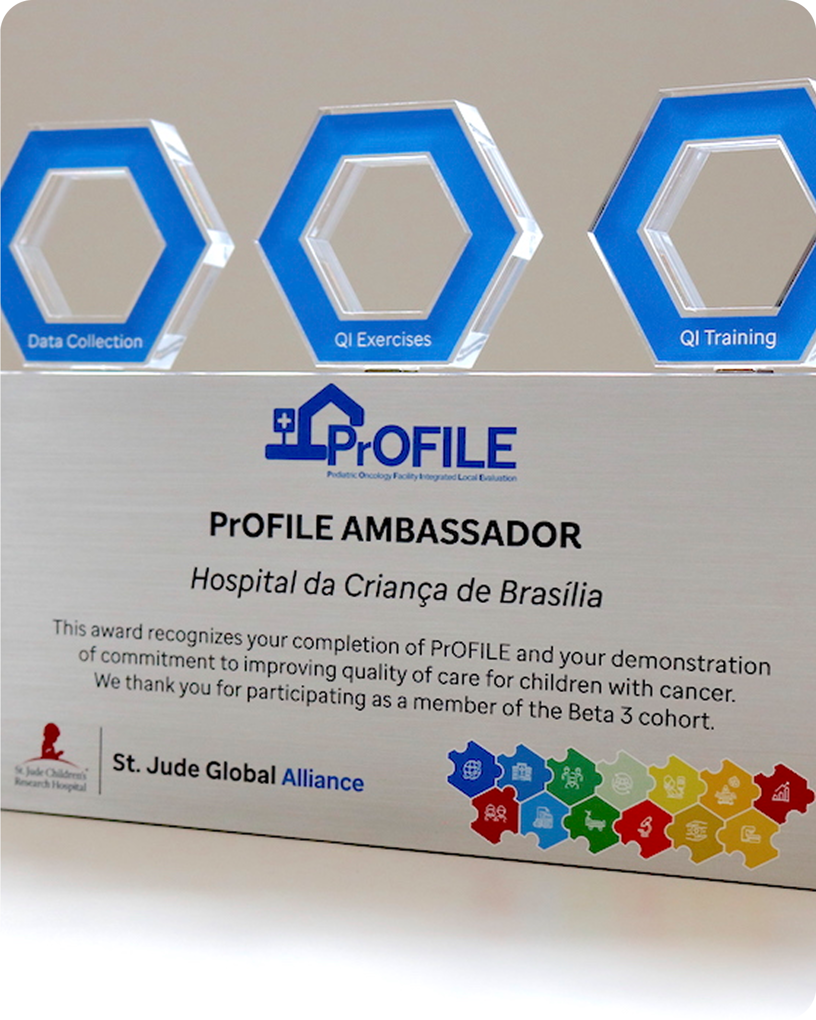 PrOFILE AMBASSADOR - St. Jude Global Alliance